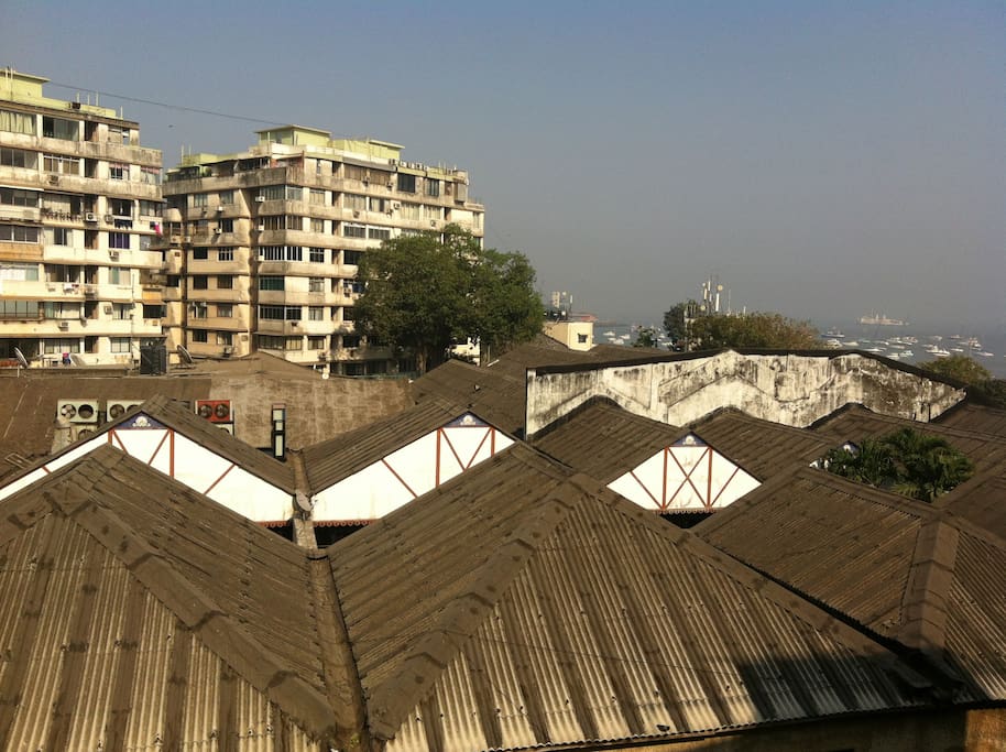 View from Bed Room