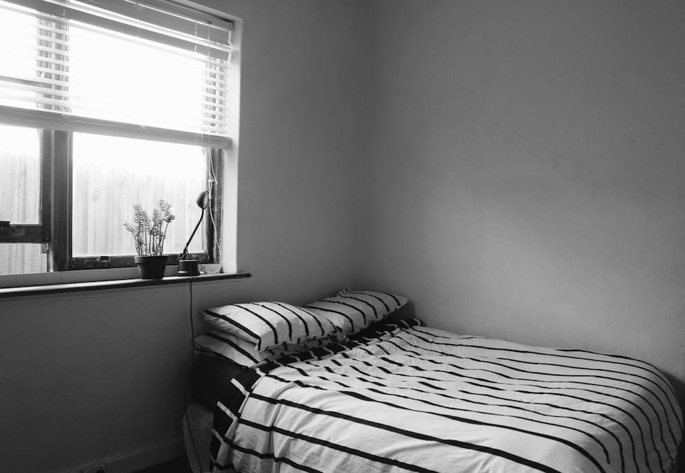Queen Bed