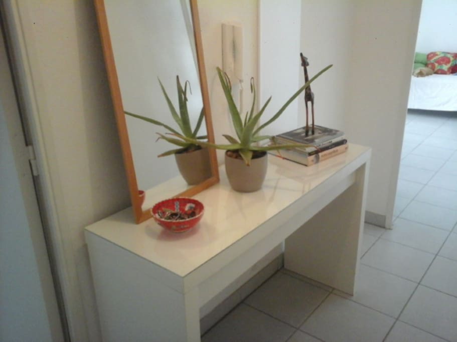 l'entrée de l'appartement.