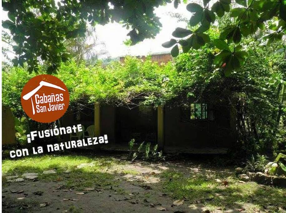 Cabañas rodeadas de naturaleza