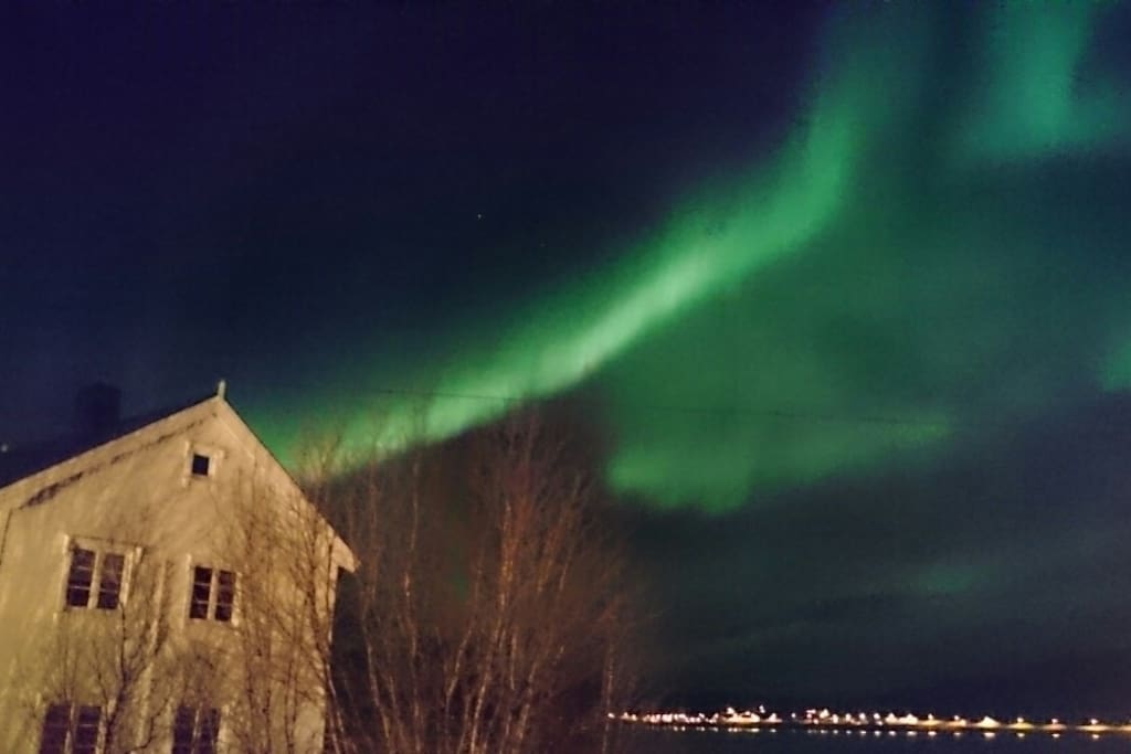 Aurora lights. Picture taken 26.10.16.