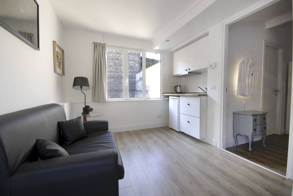 Living room with kitchen and sofa bed
