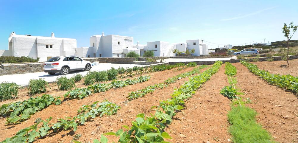 Casa Vento – Maisonette near Santa Maria beach gallery image 4