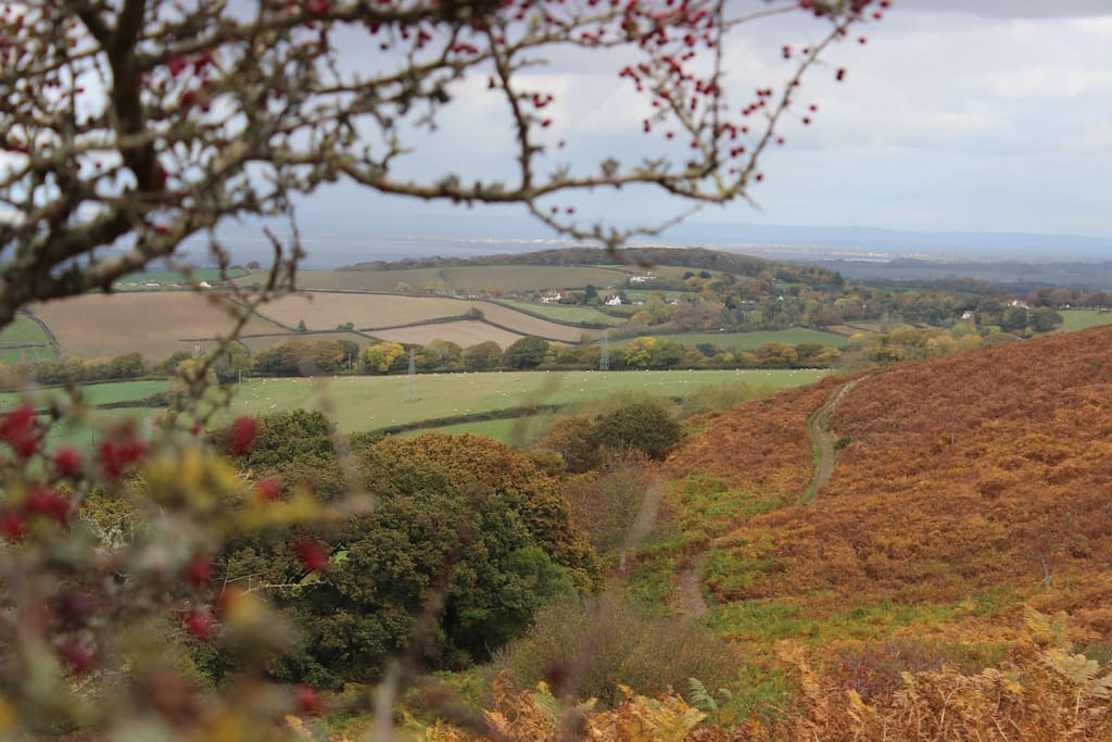 The Quantock Hills, a short walk from Groom's Cottage.