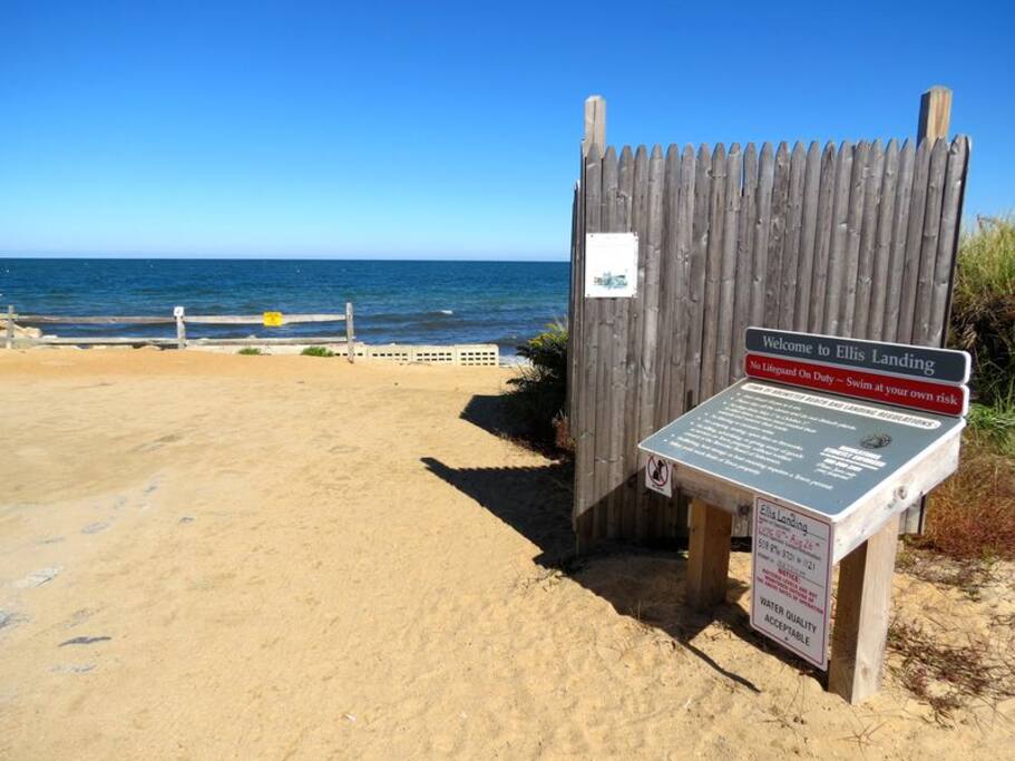 Ellis Beach is just around the corner!