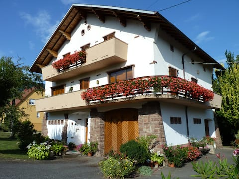 Charming, quiet apartment