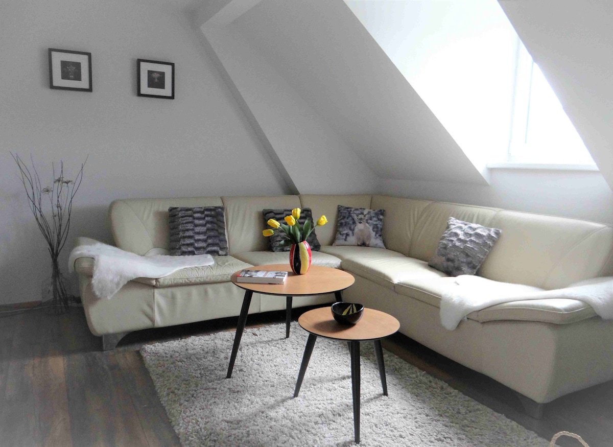 Proprietà Airbnb di successo: Cozy attic apartment in Lahr /Black Forest a Lahr/Schwarzwald