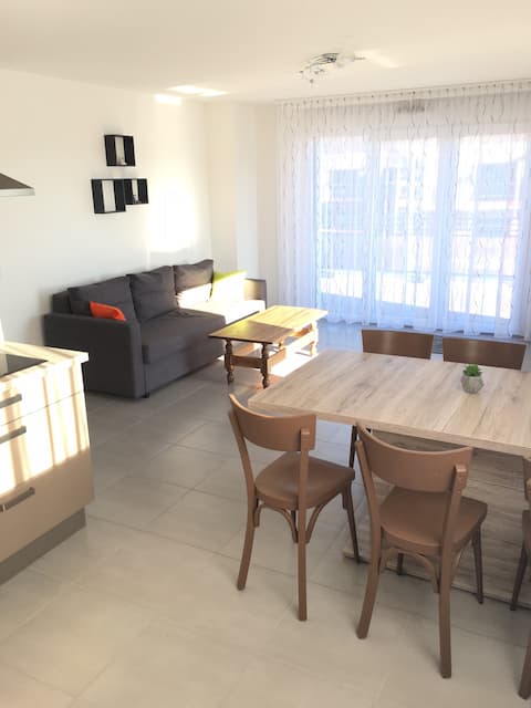 Recent apartment, 10 min. Basel airport, fair