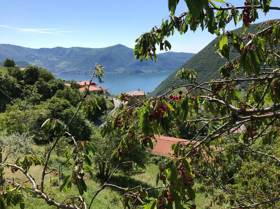 VISTA DAL TERRAZZO