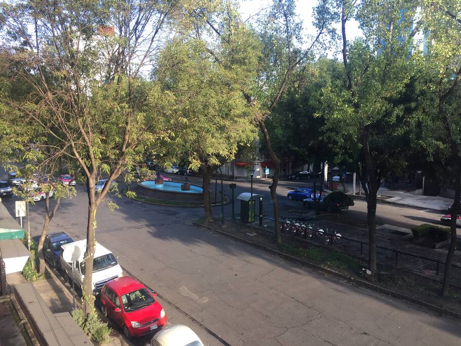 Window's view.