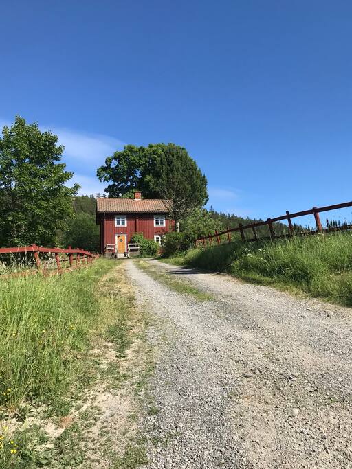 Small country road leading up to the secluded cottage.