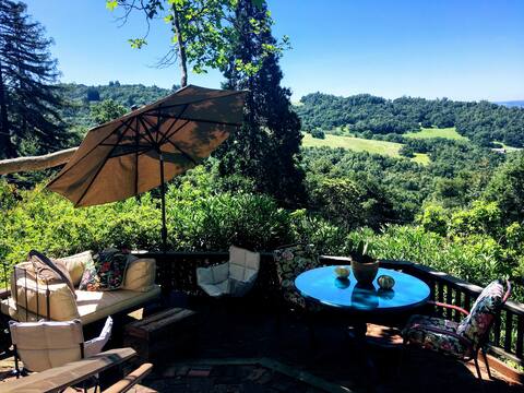 Healdsburg Hideaway minutes from Town Square