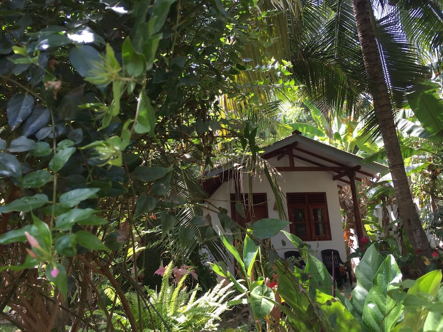 Your own private Cabana amongst the trees.