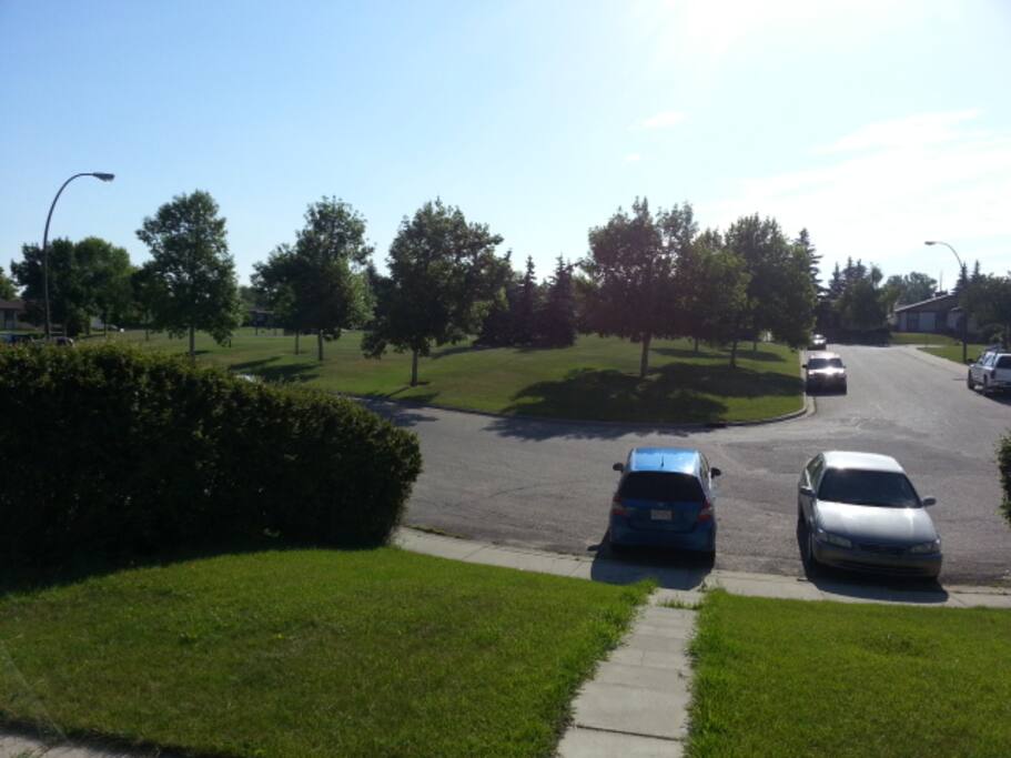View from the house