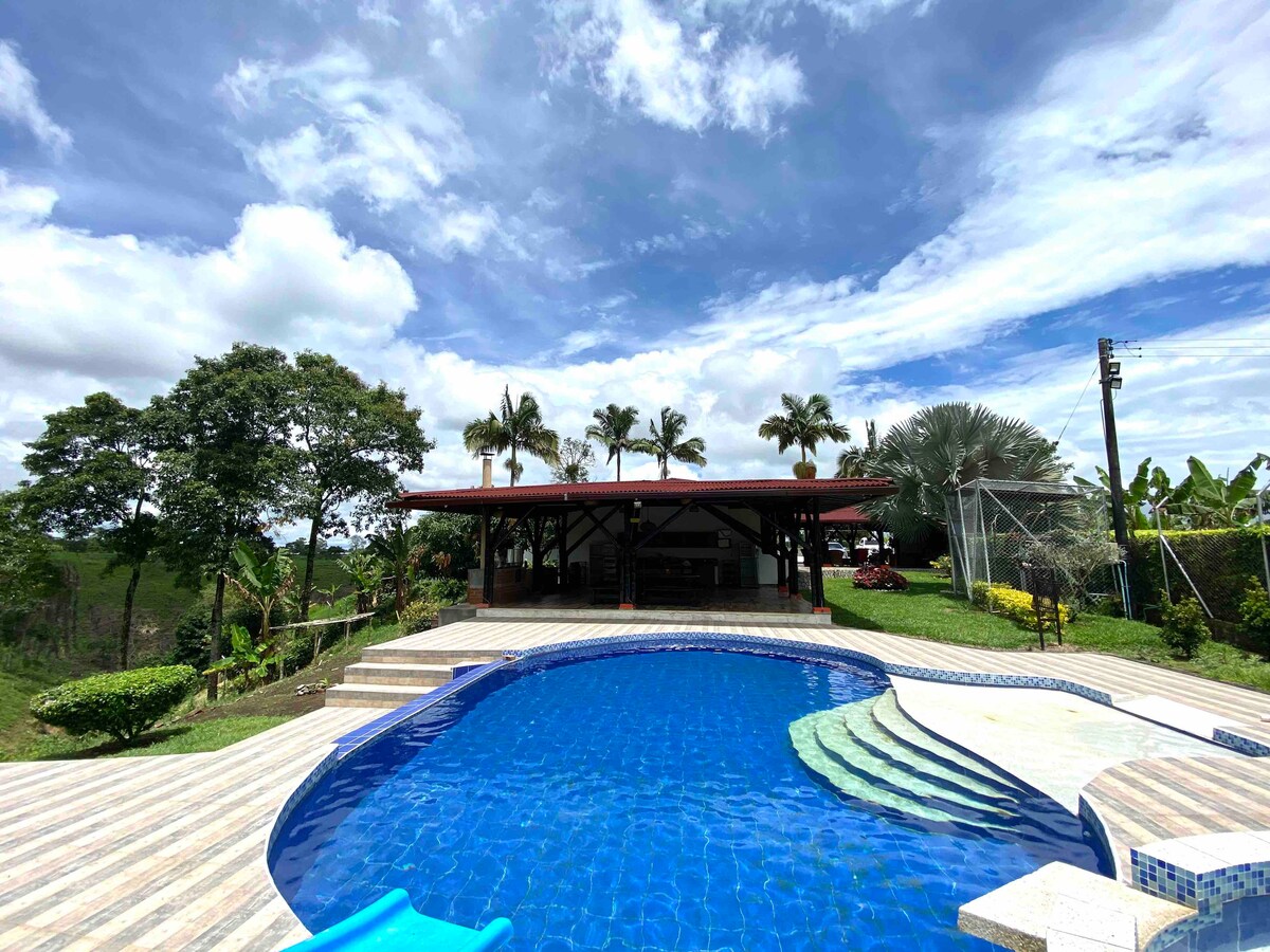 A shimmering pool reflects the clear blue sky, bordered by a spacious patio area. Lush greenery and palm trees surround the structure, providing a serene outdoor setting. The building features an open design, inviting guests to enjoy the natural landscape.
