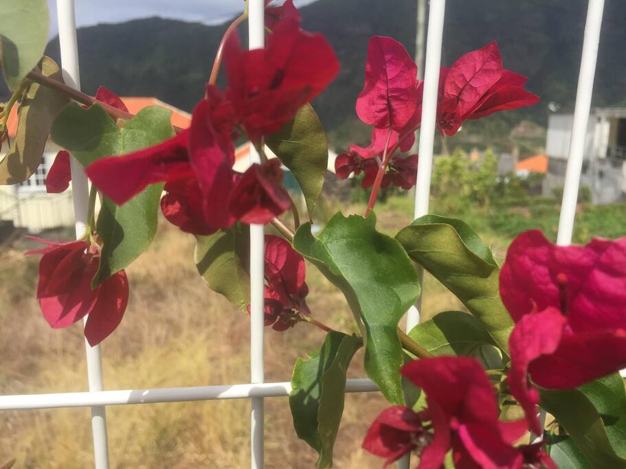 Red is good...