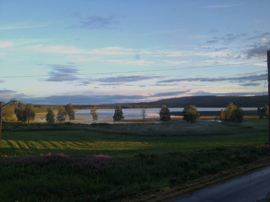 View from livingroom