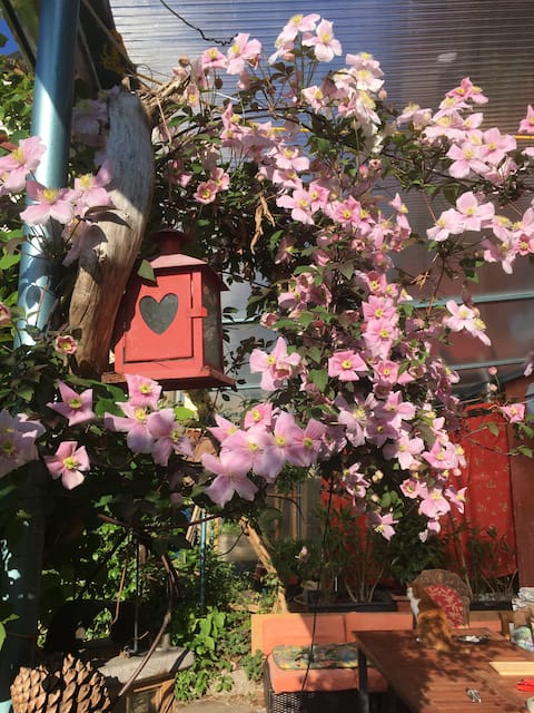 Stay at Künstlerhaus ground floor