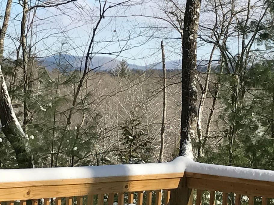 Winter view from patio