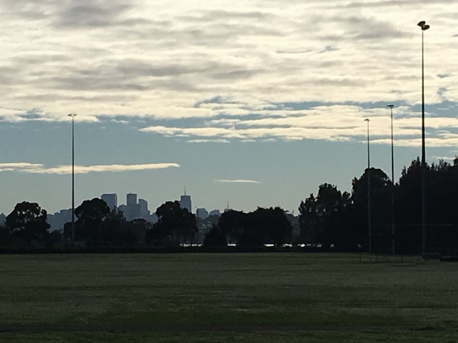 City Skyline from Timbrell park opposite