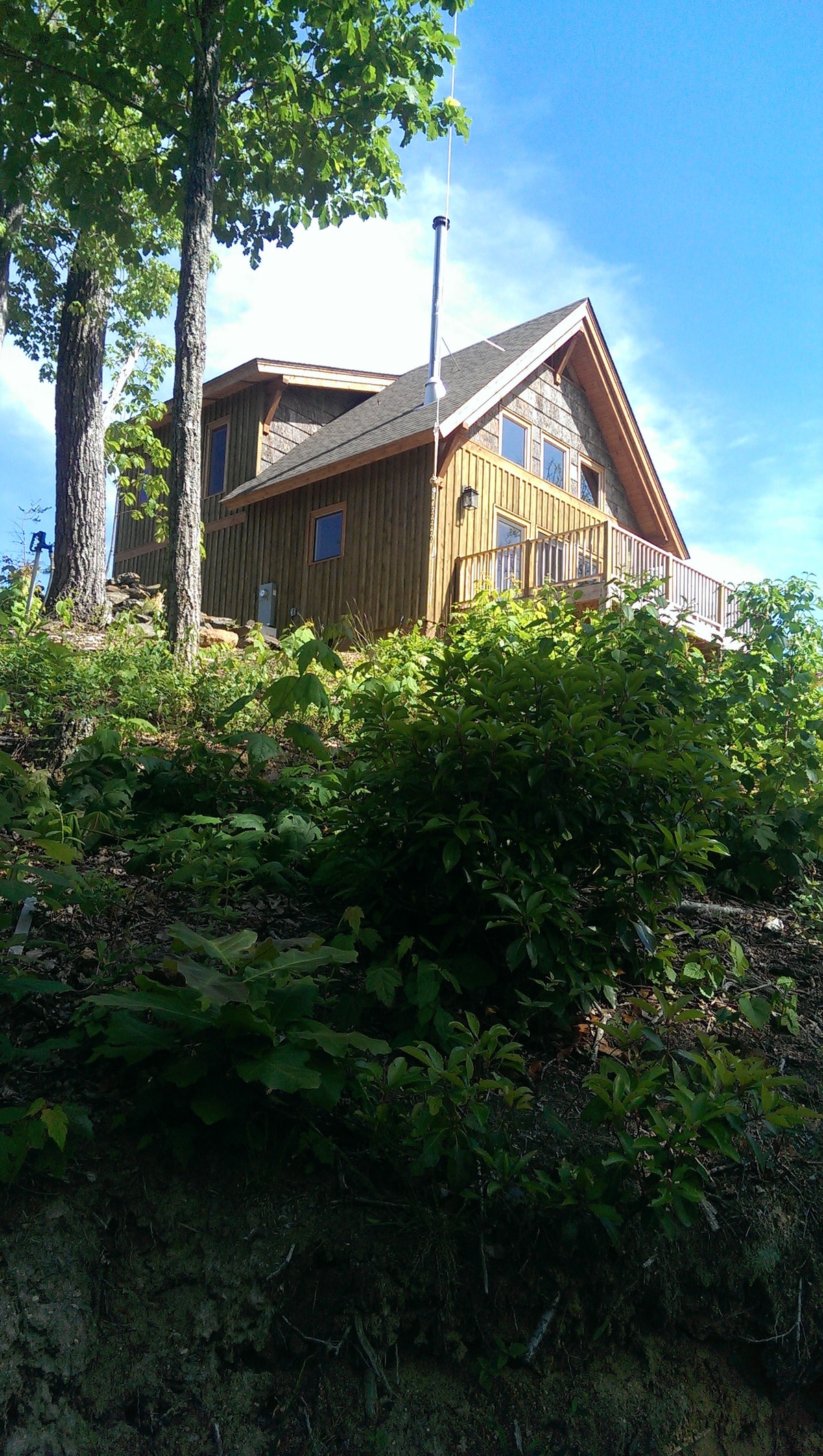 A timber-frame cottage is nestled among trees on a hillside, displaying large windows and a sloped roof. The structure is complemented by a natural landscape, with foliage in the foreground. The cottage features a deck that offers a view of the surrounding area.