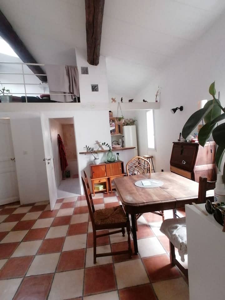Appartement Atelier D'artiste - Montpellier