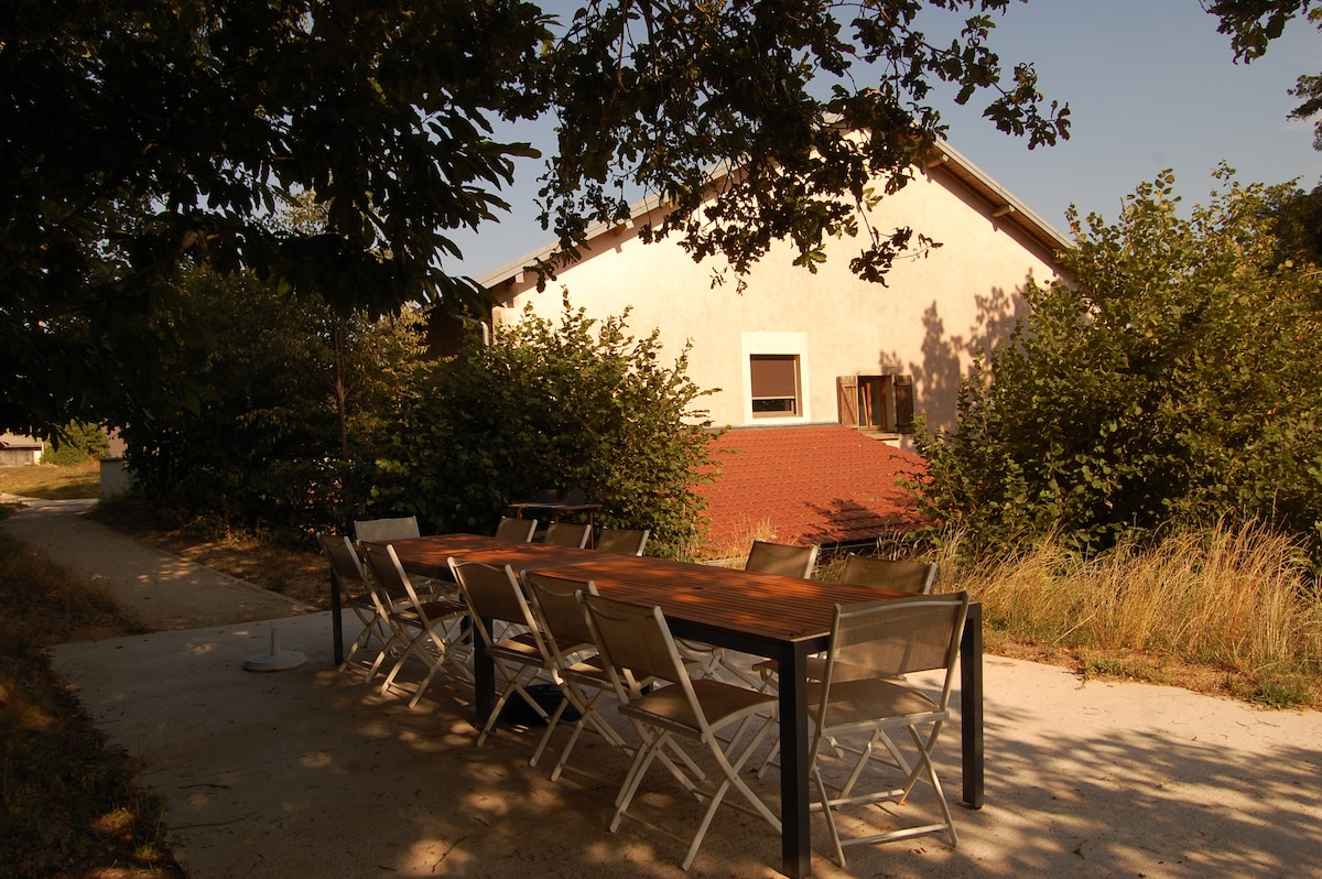 An outdoor dining area is set with a long table surrounded by several metal and wooden chairs. The building is partially visible in the background, framed by lush greenery and shrubs. The scene is located on a pathway leading to the residence.