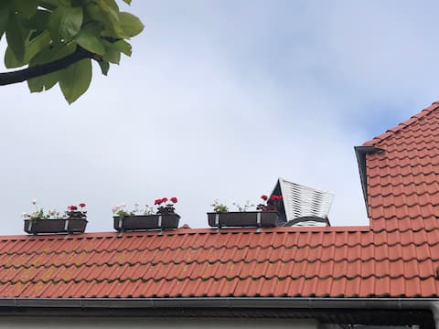 Erfolgreiche Airbnb-Immobilie: Ryckblick Vacation Rental in Greifswald