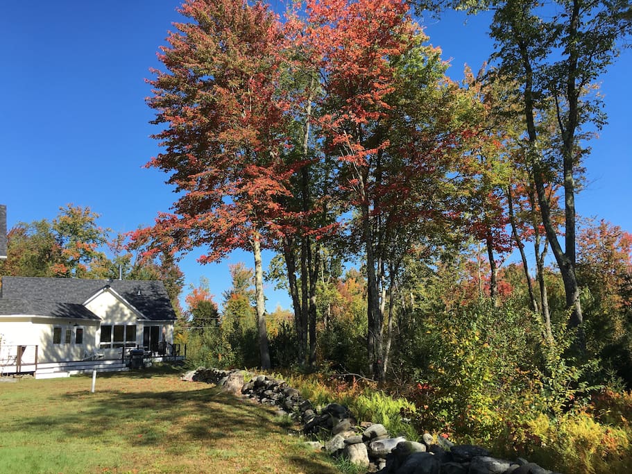 Back of house, foliage 2016