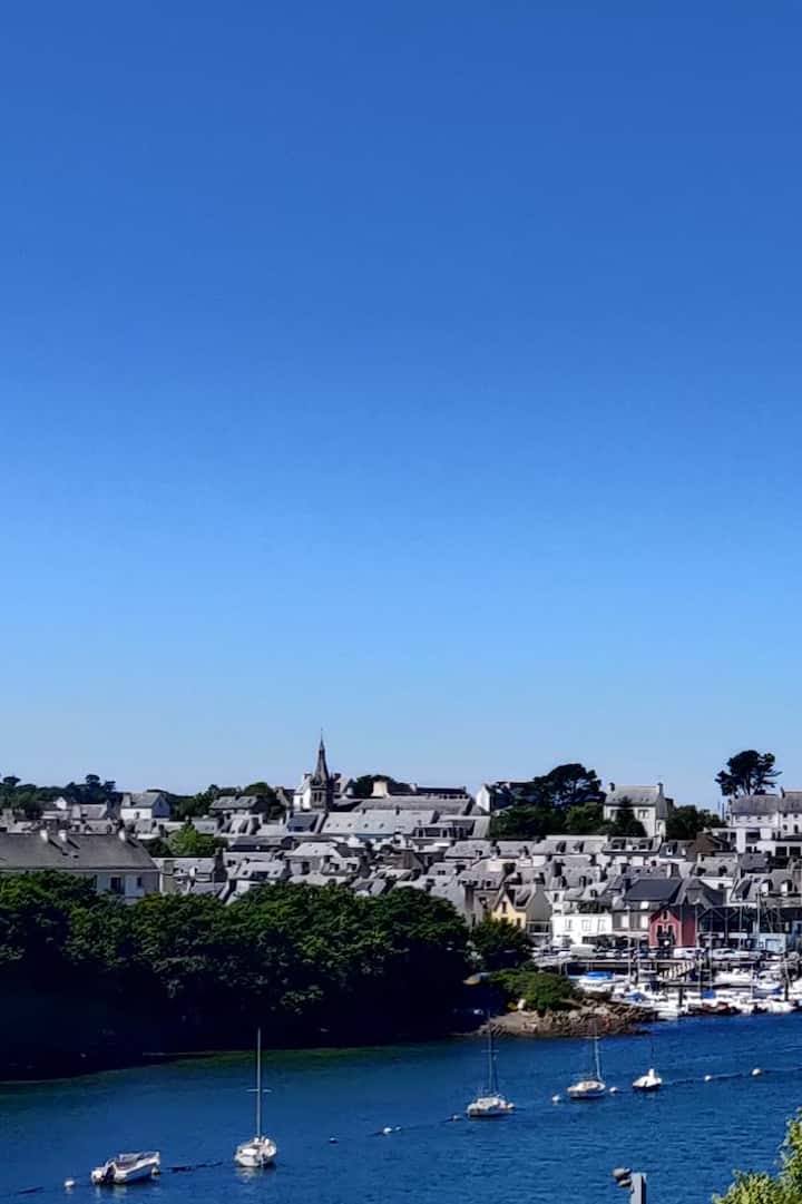 Downtown Family Home With Garden And Sea View - Douarnenez