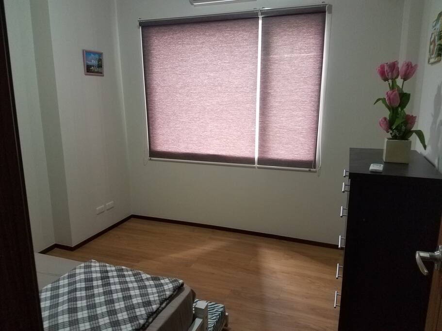 Bedroom 2 with pull out bed