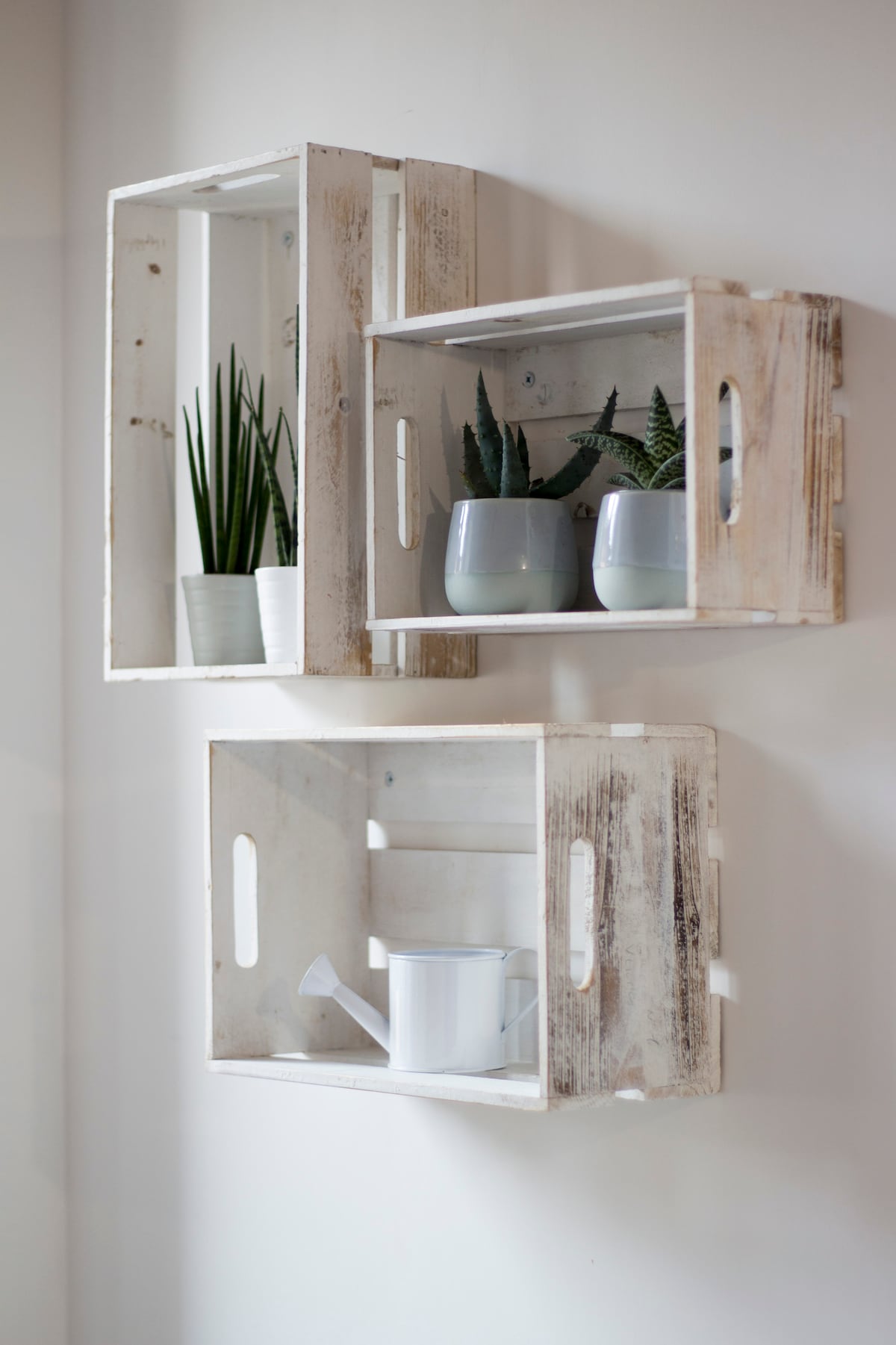 Wooden crates are displayed on a light wall, showcasing various indoor plants in white pots. A small white watering can sits within the lower crate, contributing to a natural and decorative arrangement.