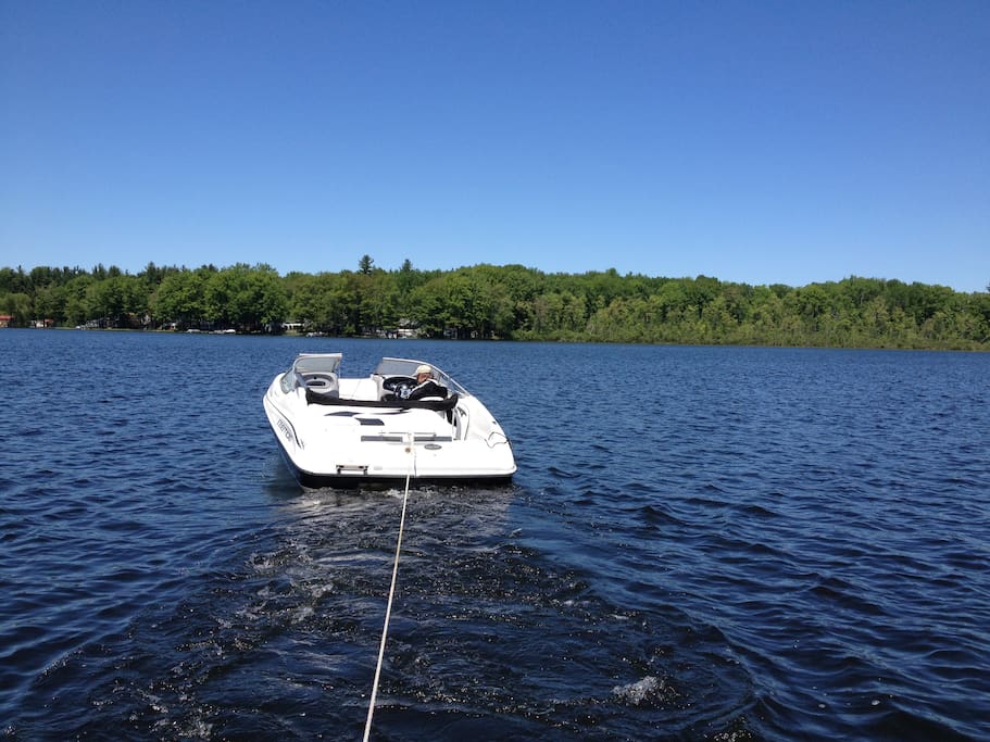 Bring your own boat - there is a public access/ boat launch on the west side of Halls Lake.