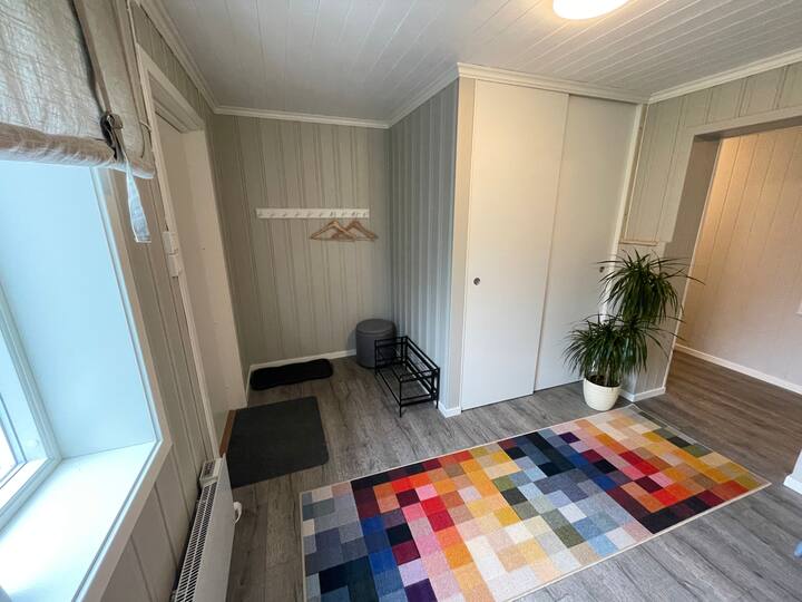 Cozy basement living room with private bathroom and private entrance