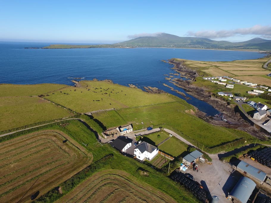 From the top! Looking out over Ventry Harbour - view our safe beach (strand) inlet