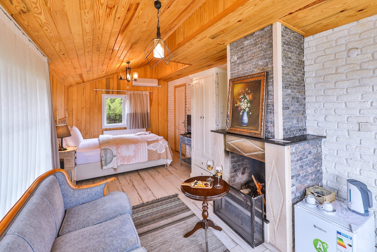 A cozy interior features wooden walls and ceiling, contributing to a warm ambiance. A spacious bed is positioned against a wall, while a comfortable sofa is arranged beside a small table. A charming fireplace is surrounded by a decorative piece, adding a rustic touch.