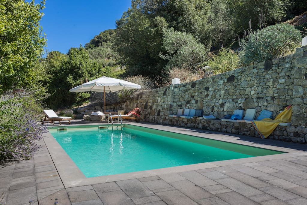 The private swimming pool