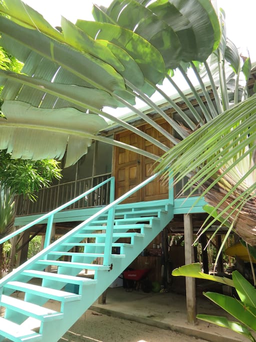 Step into your nature experience