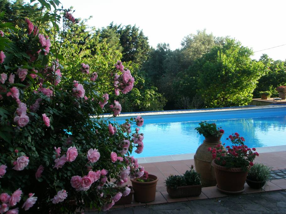 Piscina in giardino