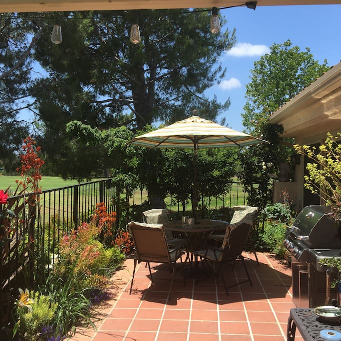 Gorgeous garden patio with gas BBQ grill