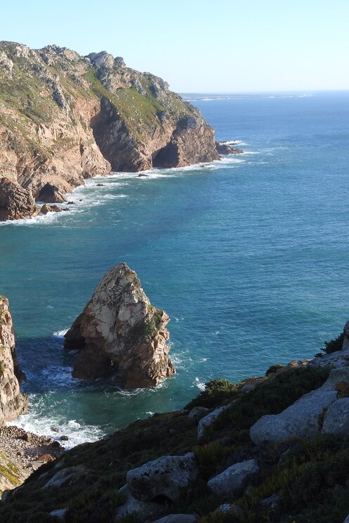 Show full-screen, host-provided image