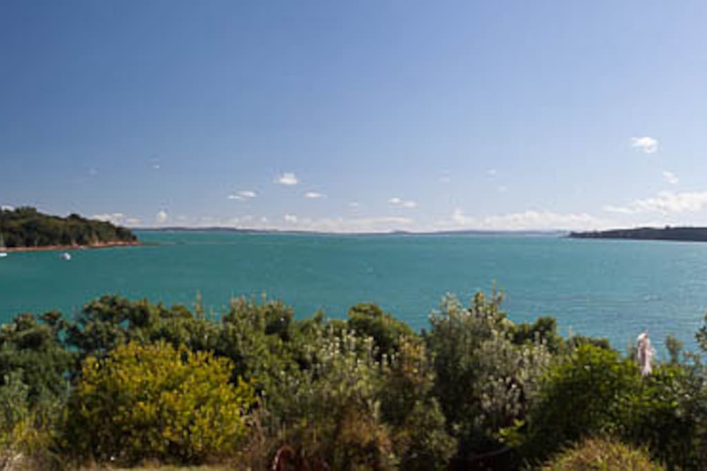 Seascape at the bottom of the garden