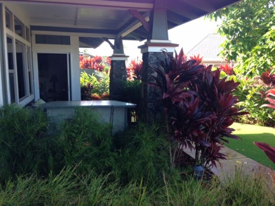 A tropical paradise with exotic plants shading your covered lanai (patio)