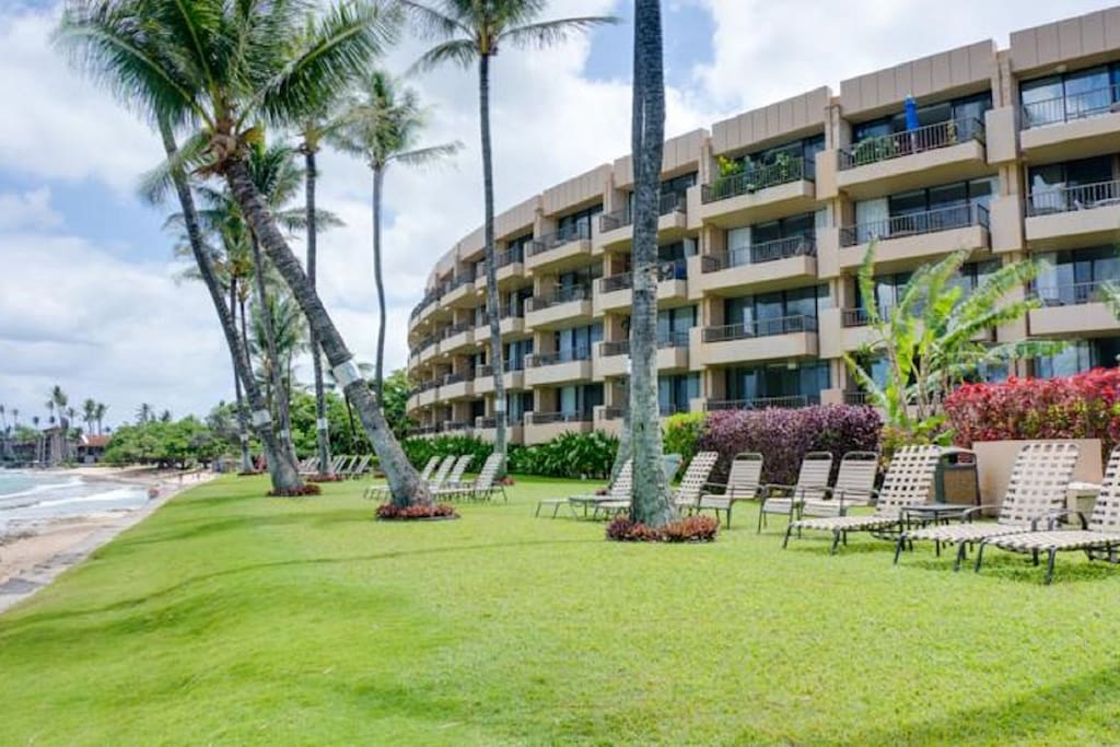GRASSY LAWN AREA WITH LOUNGE CHAIRS