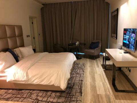 Luxury Findi furnished Studio in Damac towers