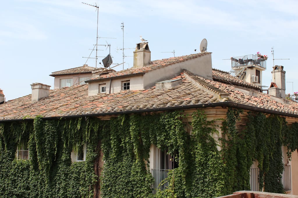panoramic view