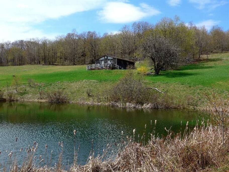 Nest With Pond