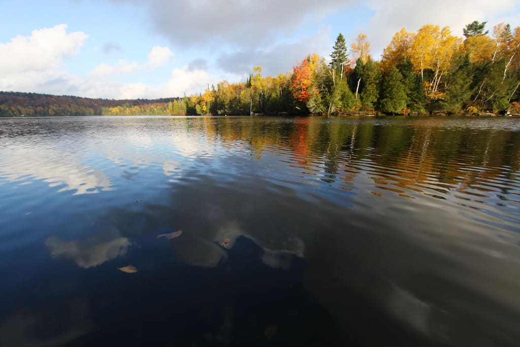Fall Colours on Oxbow Lake