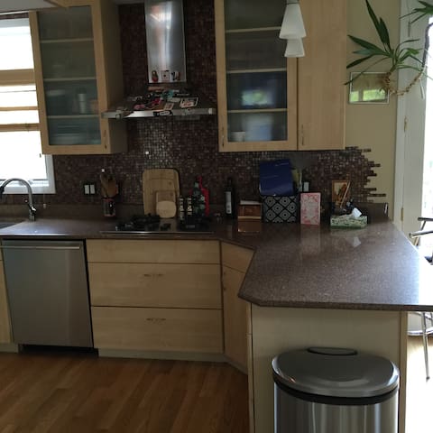 Entire 3 bdr house by ORD and Metra - WiFi & cable