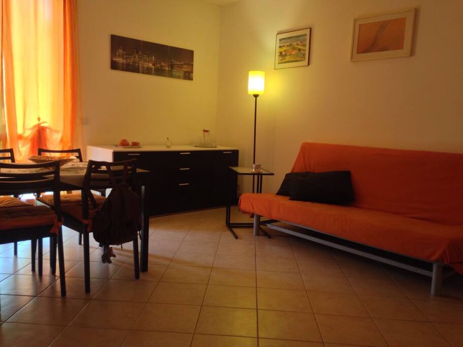 Living room and sofa bed